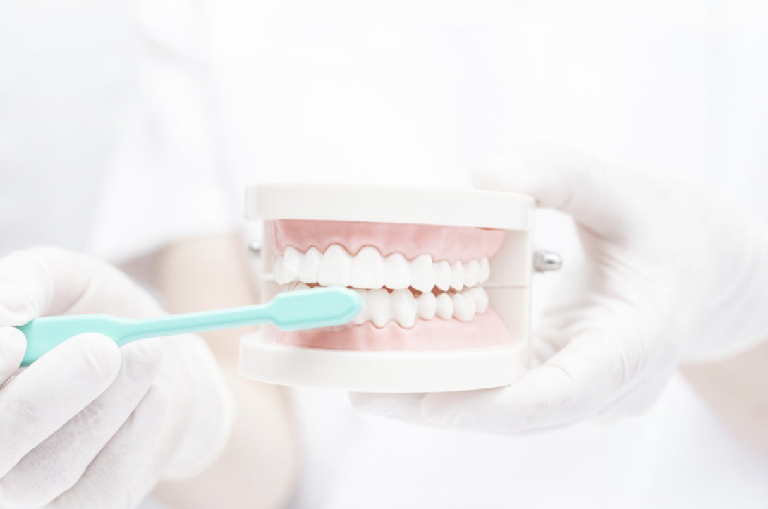 ブラッシング指導を行っている画像